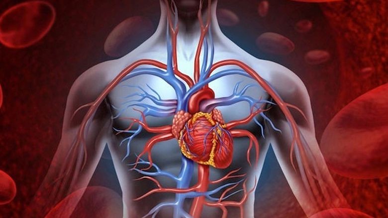 Balıkesirli Vatandaşlar En Çok O Hastalıktan Ölüyor