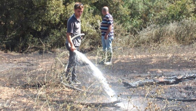 Burhaniye'de Yüzlerce Ağaç Kül Oldu