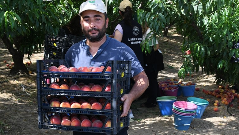 Kepsut: Şeftaliyle Dolu Bir Diyar