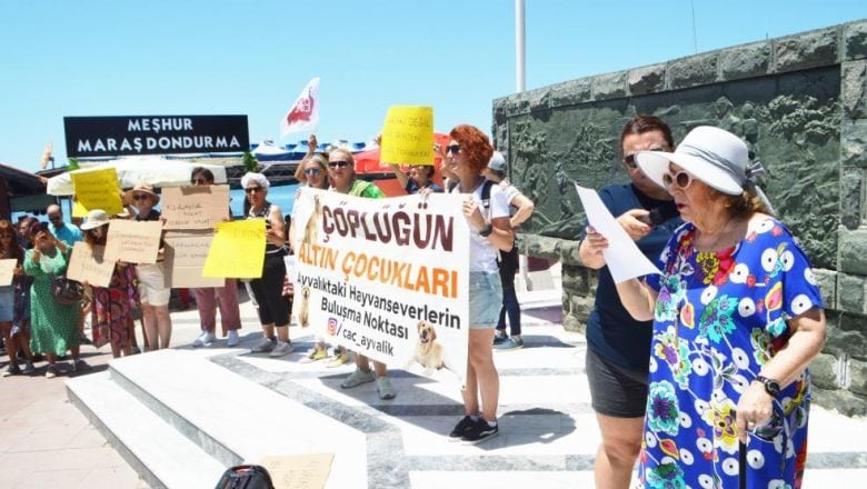 Ünlü Sanatçı Ayvalık'ta Sokak Hayvanları İçin Eylem Yaptı