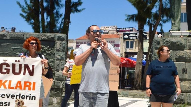 Ünlü Sanatçı Ayvalık'ta Sokak Hayvanları İçin Eylem Yaptı