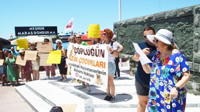 Ünlü Sanatçı Ayvalık'ta Sokak Hayvanları İçin Eylem Yaptı