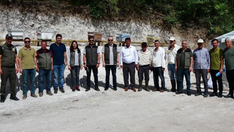 Balıkesir'de 2800 Kovan Kapasiteli Bal Ormanı Faaliyette!