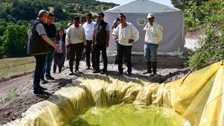 Balıkesir'de 2800 Kovan Kapasiteli Bal Ormanı Faaliyette!