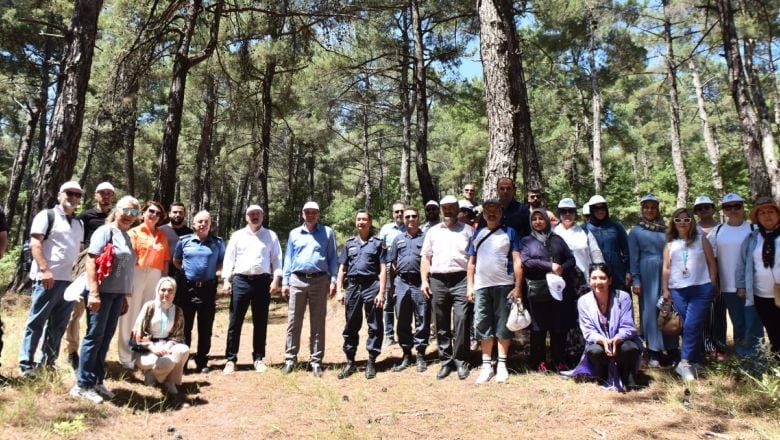 Balıkesir'de Doğa Yürüyüşü ile Doğal Terapi