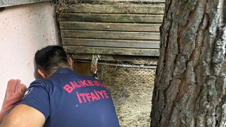 Balıkesir’de İtfaiye Yavru Kediyi Kurtardı