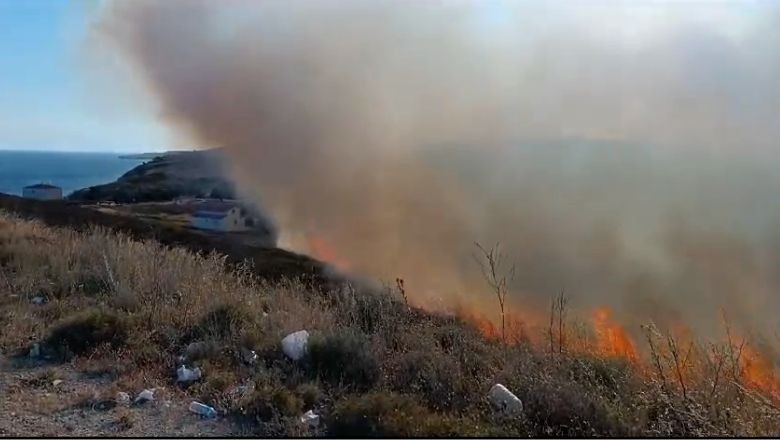 Avşa'da Yangın Paniği!