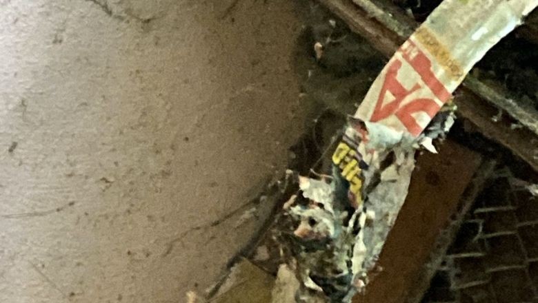 Balıkesir’de İtfaiye Yavru Kediyi Kurtardı