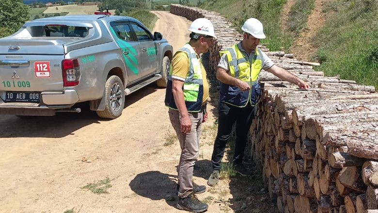 Balıkesir'den Yerli Odun Hammaddesi Atağı