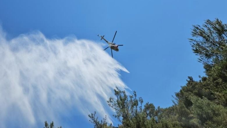 Sındırgı'da Hızla Yayılan Yangın Kontrol Altında
