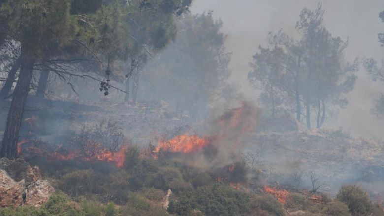 Ayvalık'taki Yangın Ormanlık Alana Sıçramadan Durduruldu