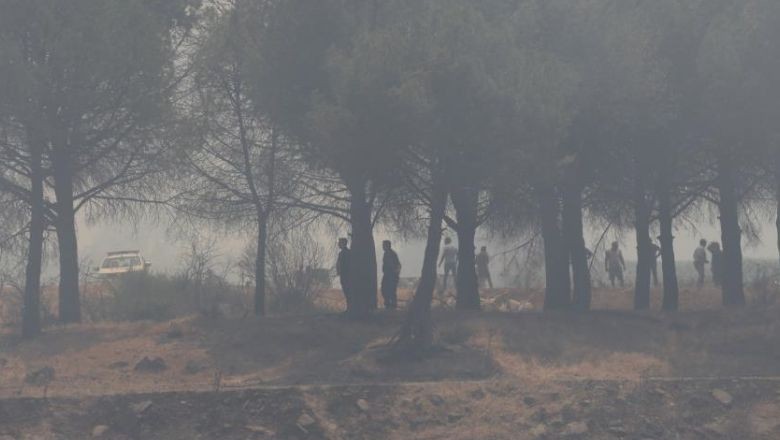 Ayvalık'ta Çıkan Yangın Bölge Halkını Tedirgin Etti