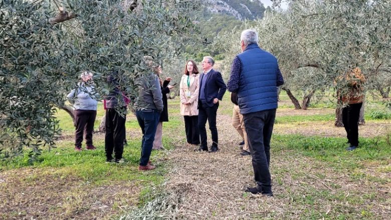 Uluslararası Zeytin Üretiminde BAÜN Öncülük Ediyor