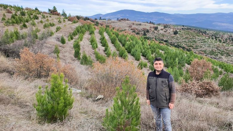 Balıkesir'de 6 Yılda Yeşillenen Miras