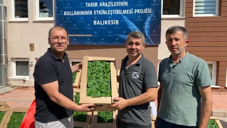 212 Bin Sebze Fidanı Balıkesir Toprağında