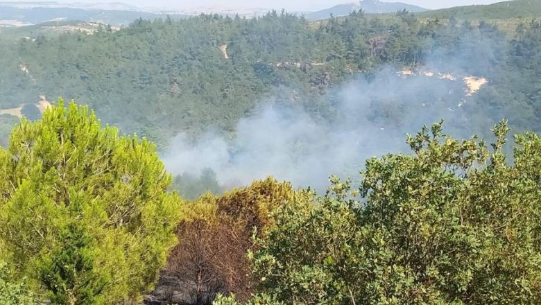 Altıeylül'den Sonra Kepsut'ta da Yangın Başladı