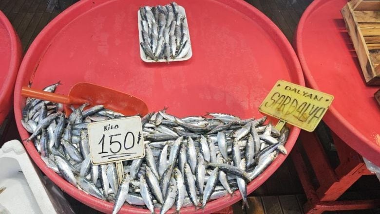 Balıkesir’in Taze Sardalyaları ile Yapabileceğiniz Tarif