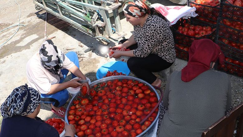 Başkan Ergin'den Kadınların İşini Kolaylaştıracak Proje