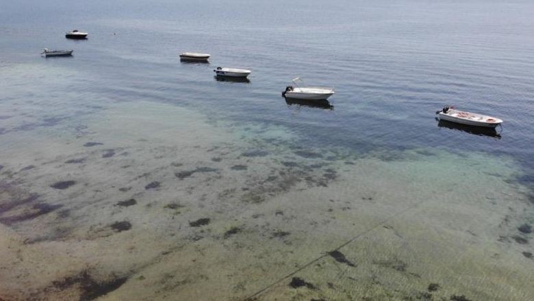 Deniz Çayırlarının Sökülmesini Cezası Belli Oldu