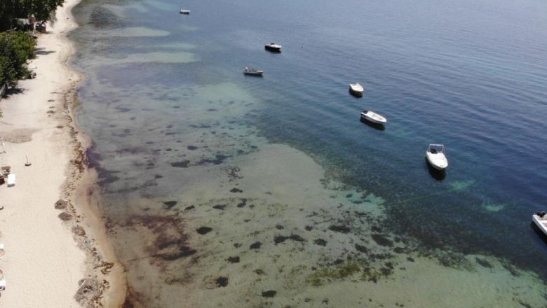 Erdek Marmara Denizi'nin Geleceği İçin Toplanıyor
