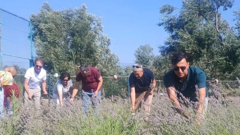 Öğrenciler Ekti Akademisyenler Hasat Etti