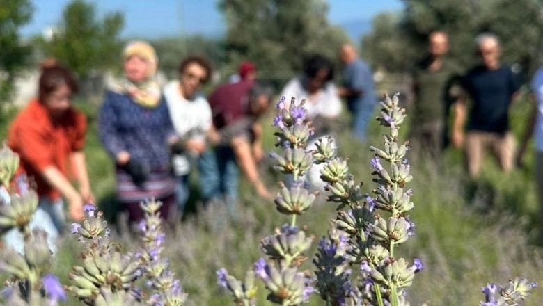 Öğrenciler Ekti Akademisyenler Hasat Etti