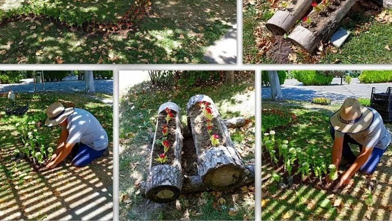 Susurluk Parkı Baharın Renkleriyle Buluşuyor