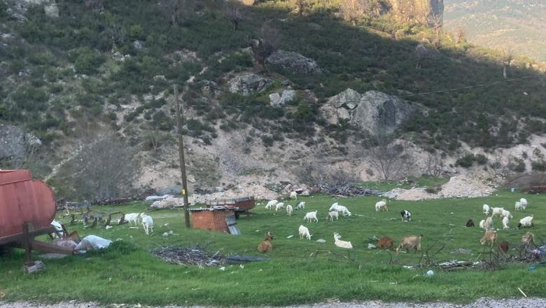 Bu Görüntüler Bigadiç’in Bir Köyünden