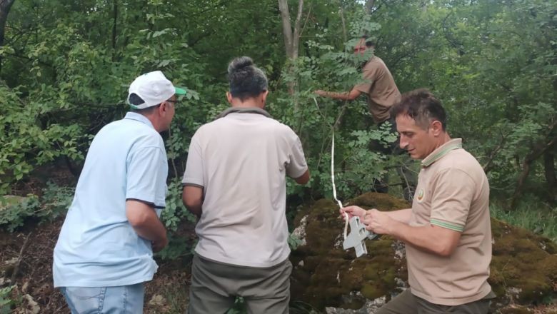 Balıkesir’de Orman Ekosistemleri İzleniyor