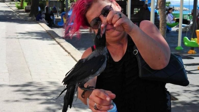 Tatil İçin Kargasıyla Birlikte Erdek'e Geldi