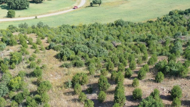 Balıkesir’de 180. Yıl Hatıra Ormanı’na Fidan Dikimi