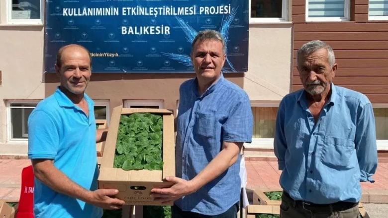 Balıkesir’de 212.000 Sebze Fidesi Üreticilere Ulaştı