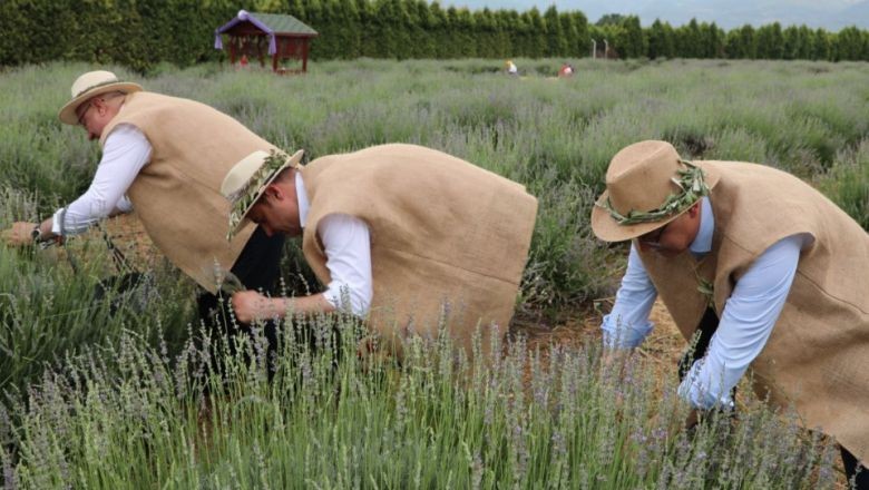 Aromaterapi Festivali'nde İlk Hasat Coşkusu