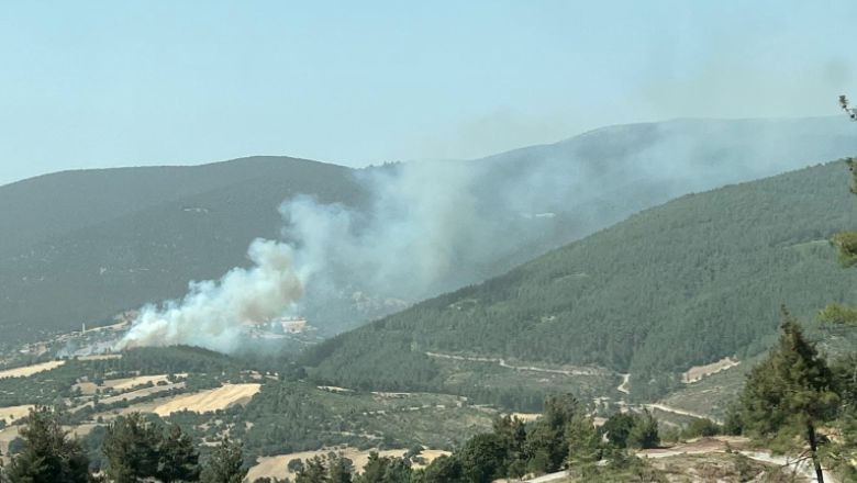 Kepsut'ta Çıkan Yangın Ormana Sıçradı