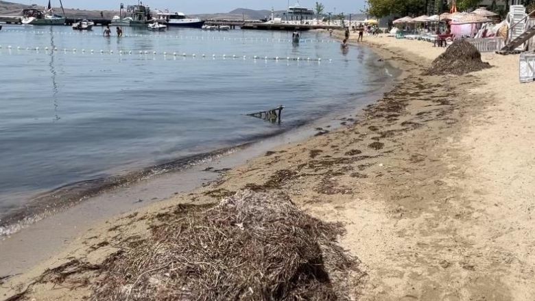 Marmara Denizi Kırmızı Alarm Verdi! Oksijen Krizi Kapıda