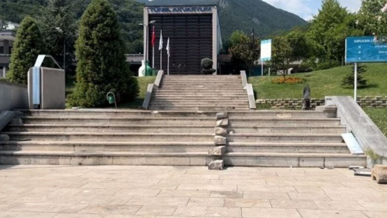 Navigasyon Hatası Sürücüyü Merdivenden Uçurdu!