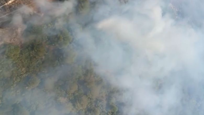 Susurluk’ta Orman Yangını: Havadan ve Yerden Müdahale