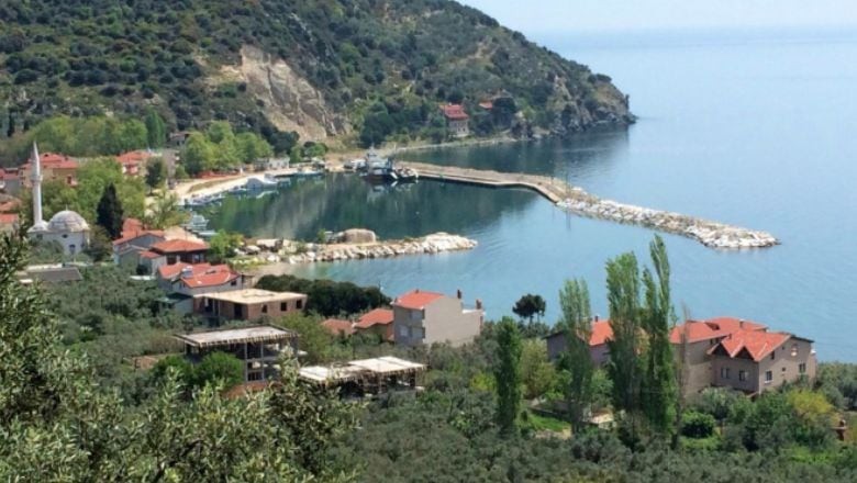 Avşa Adası’nda Üzüm Hasadı Festivali Başlıyor