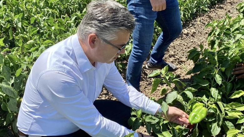 Balıkesir Tohumları Uluslararası Pazarın Gözdesi
