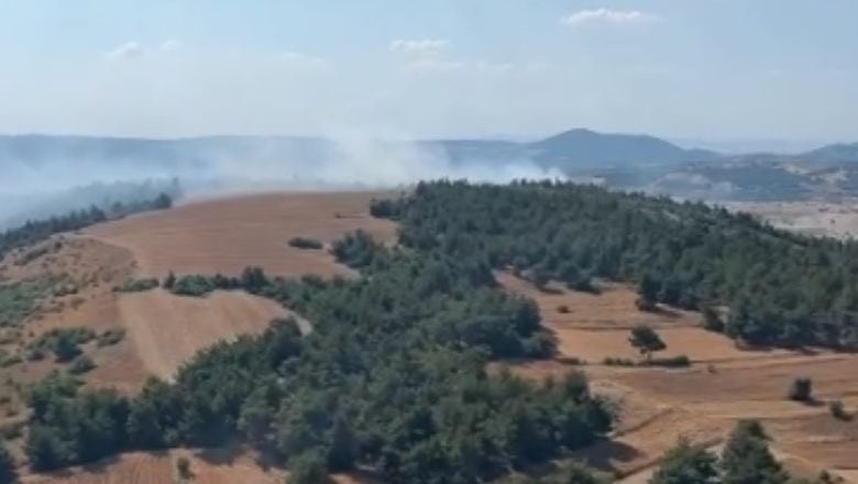 Bigadiç'te Orman Yangını Kontrol Altına Alınıyor