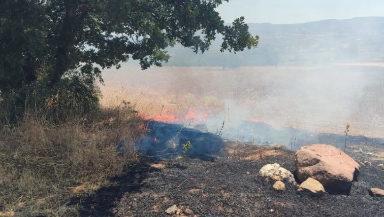 Arazide Çıkan Yangın Büyümeden Söndürüldü