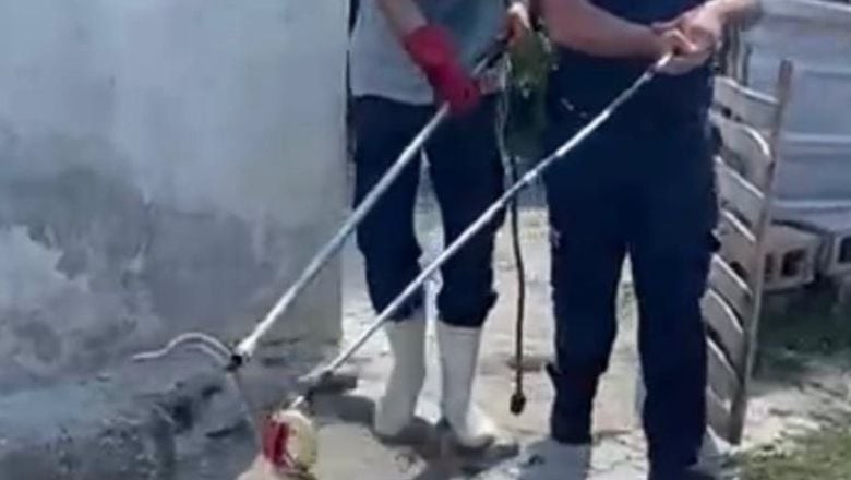 Balıkesir'de Yılan Alarmı! Eve Girdi Panik Yarattı