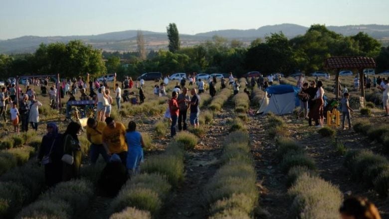 Lavanta Günleri Binlerce Ziyaretçiyi Ağırladı