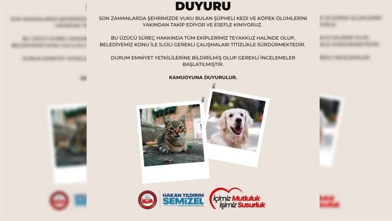 Susurluk'ta Şüpheli Hayvan Ölümleri Arttı! Belediye Açıklama Yaptı