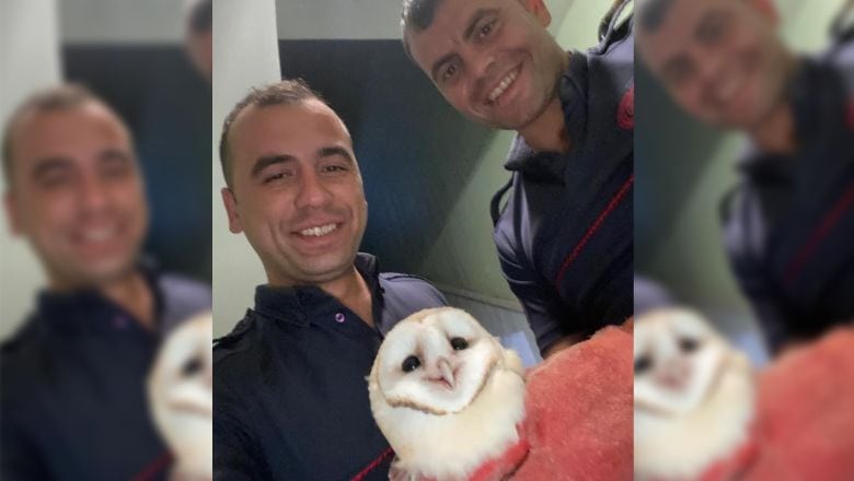 Baykuşun İmdadına Balıkesir İtfaiyesi Yetişti