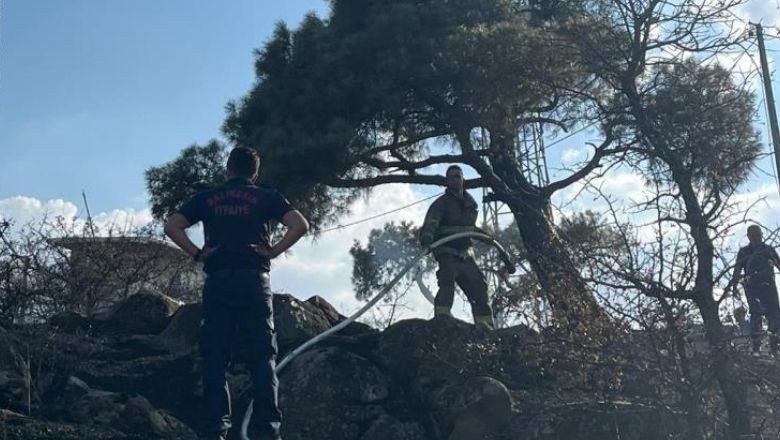 Çamlık Mesire Alanında Yangın Paniği