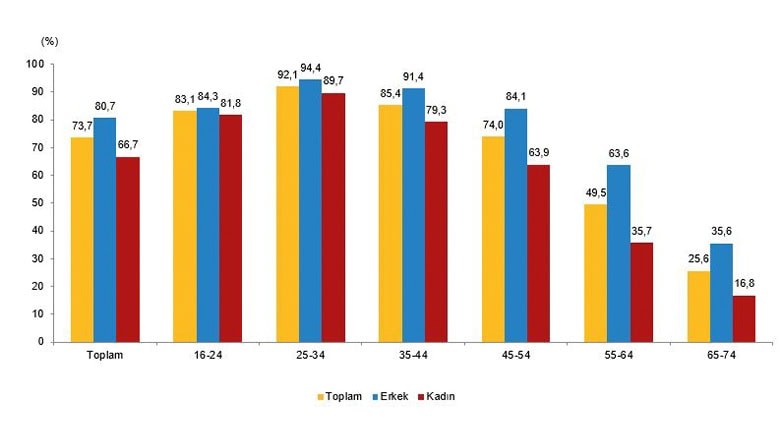2024 Hanehalkı İnternet Kullanım Oranları 2024 Hanehalkı İnternet Kullanım Oranları
