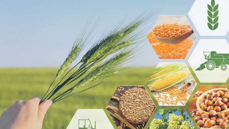Balıkesir İklime Uyumlu Tarımda Öncü Oluyor