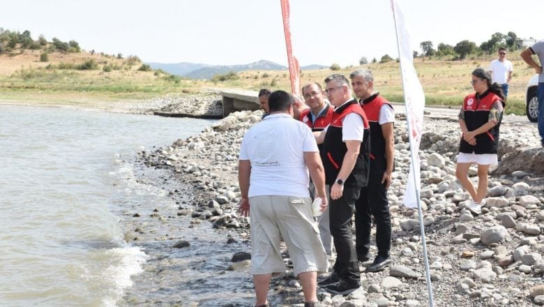 Müdür Alkan Açıkladı! 1.3 Milyon Yavru Suya Salındı Canlı Canlı Balıkesir Sularına Bıraktılar!