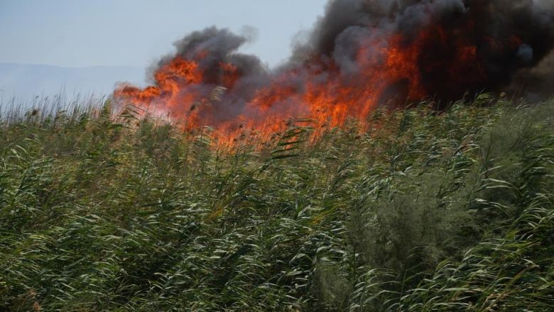 Balıkesir'de Yangın! Kuşların Göç Yolu Alev Aldı